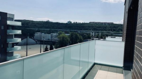Apartmán v Karlín parku